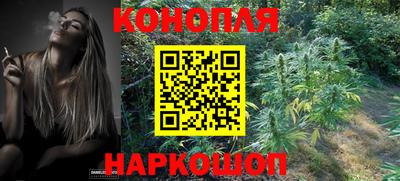 трава Камышлов