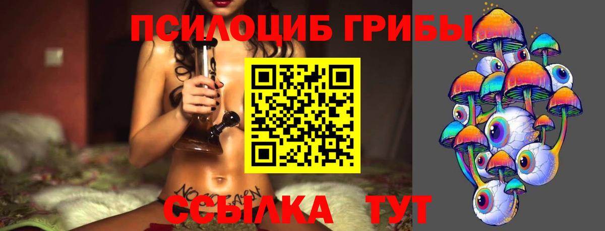 наркошоп  Вход с VPN  Галлюциногенные грибы GOLDEN TEACHER  Краснокаменск  Псилоцибиновые грибы ЛСД 